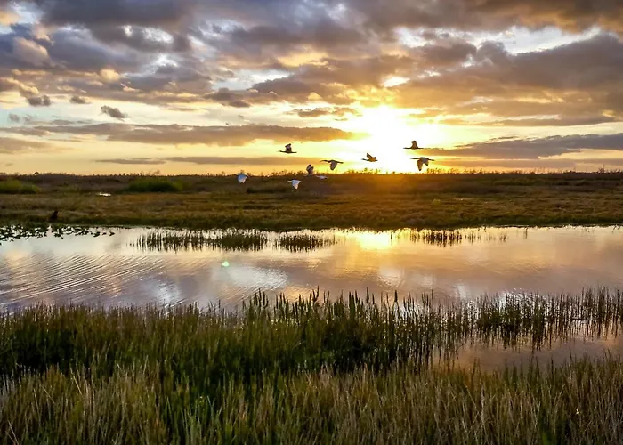 酒店 Chateau De 4*